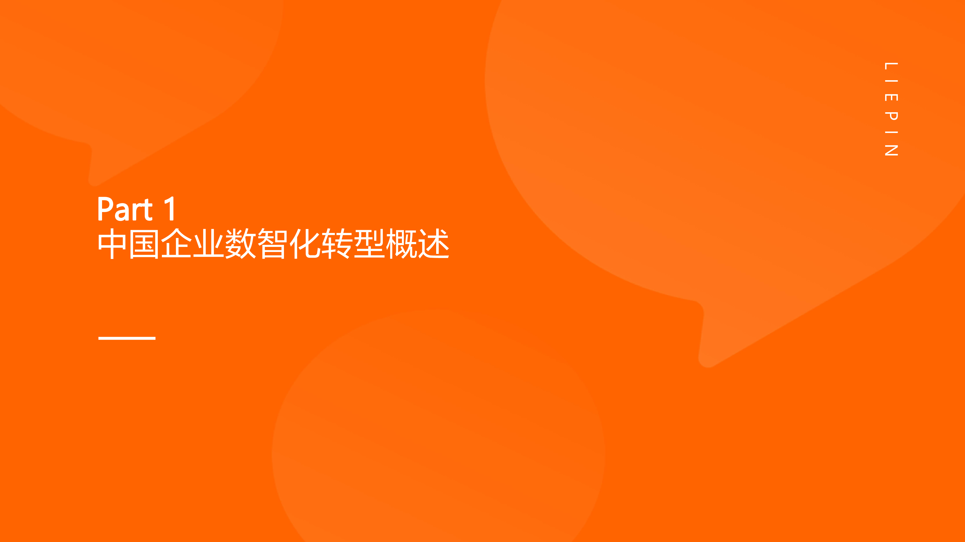 猎聘2024上市央国企数智化进程中人才就业趋势48页